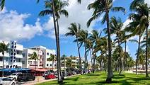 Miami Beach Private Walking Tour