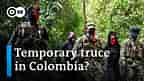 Government and rebels agree on ceasefire in Colombia | DW News